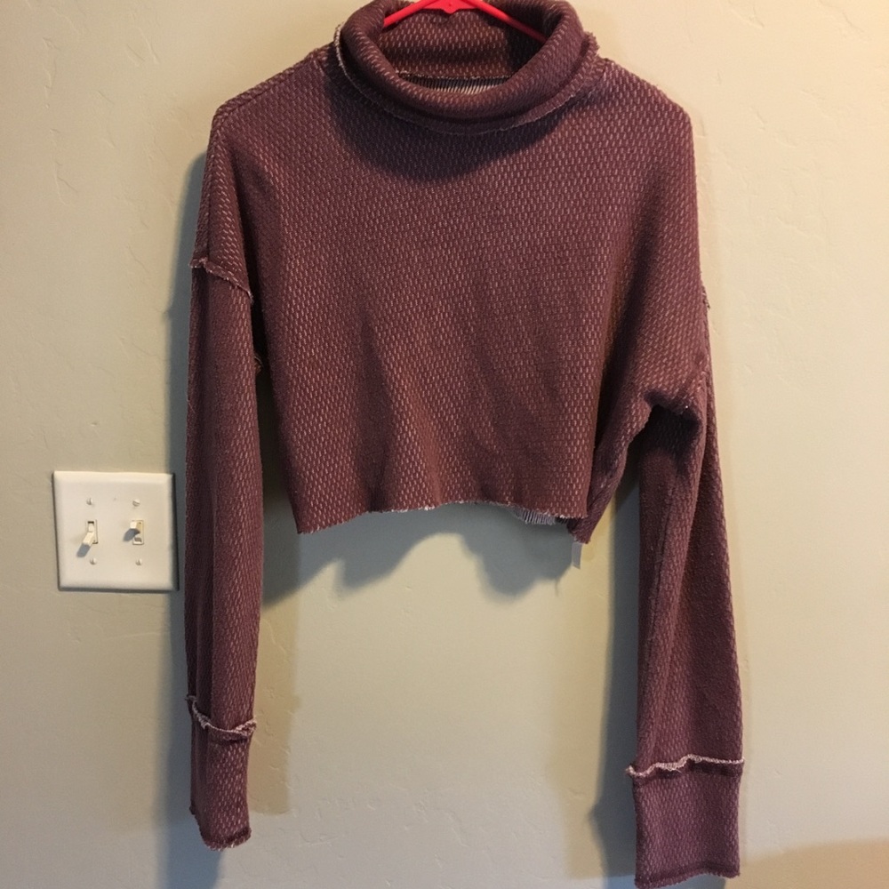 Small Crop Turtlneck